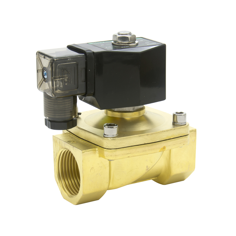 Valvola a Solenoide SS Ottone a 2 Vie Normale Chiusura