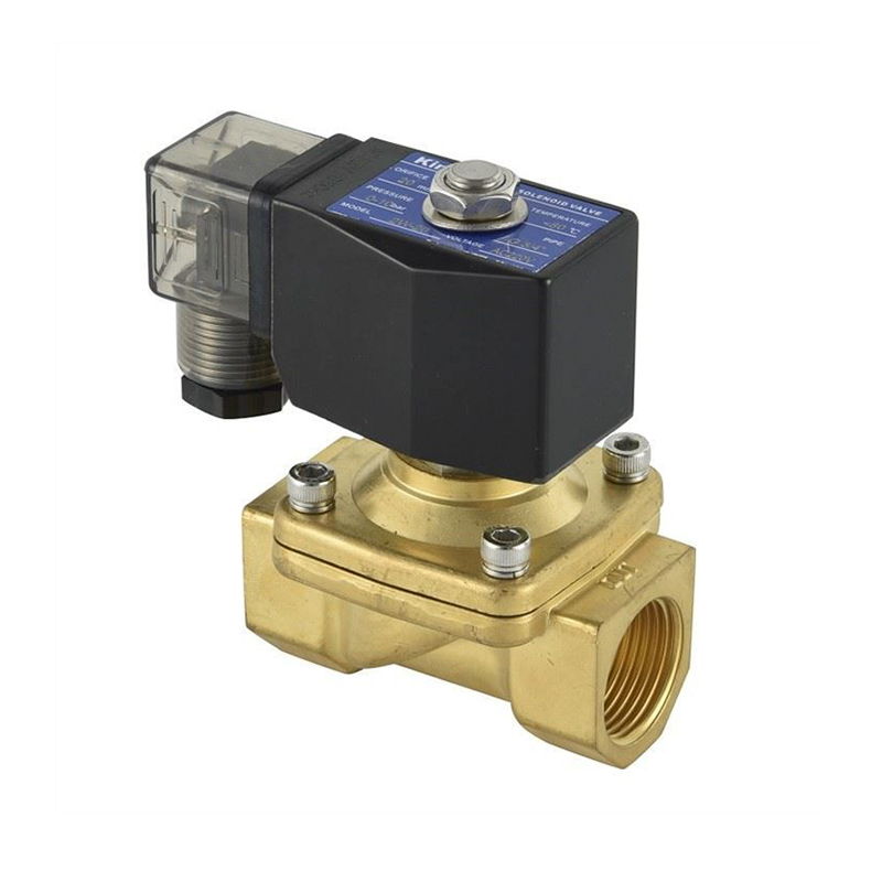 Valvola a Solenoide SS Ottone a 2 Vie Normale Chiusura