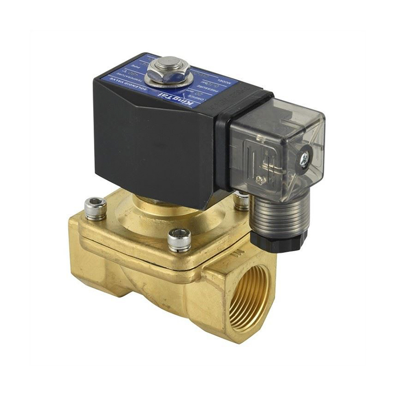 Valvola a Solenoide SS Ottone a 2 Vie Normale Chiusura